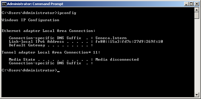 IPConfig screenshot